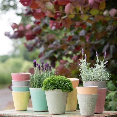 0891 Guf06 2025 Hw2025 Ingavianden M9a3929 Srgb Kl