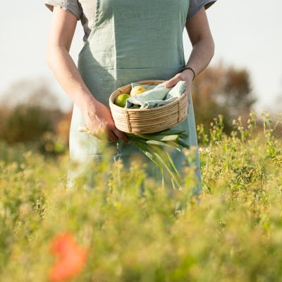 1729 Guf11 2025 Fs2026 Foto Ingavianden M9a1635 Srgb